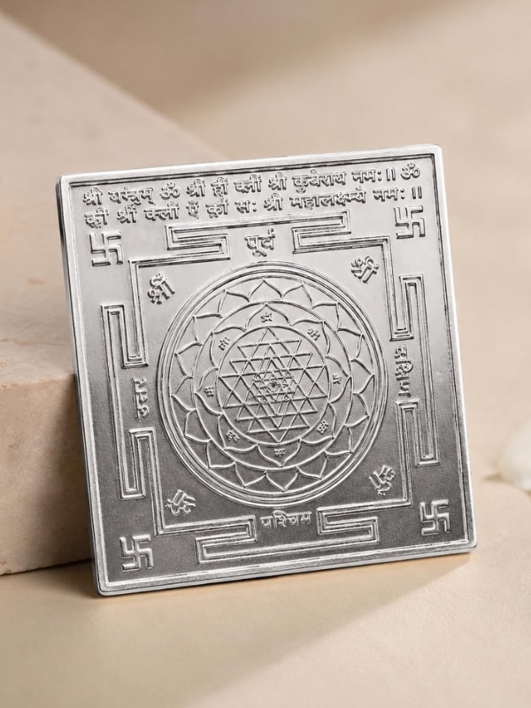 Silver Coin - 100 gm